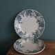 Set of dishes and plates from Terre de fer Saint Amand and Hamage Campanule