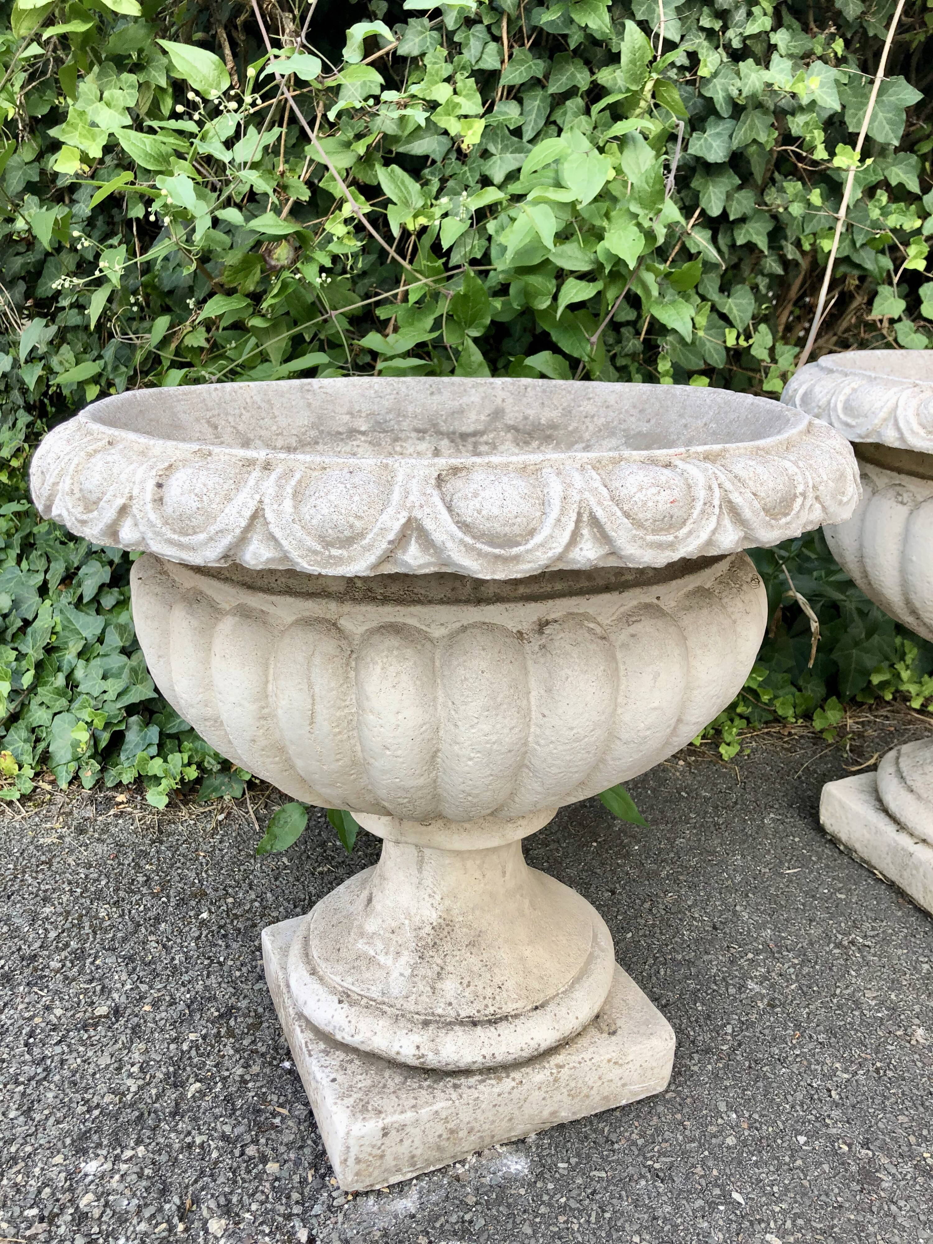 Pair of medicis and boxvales