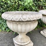 Pair of medicis and boxvales