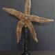 Giant starfish thromidia catalai on pedestal