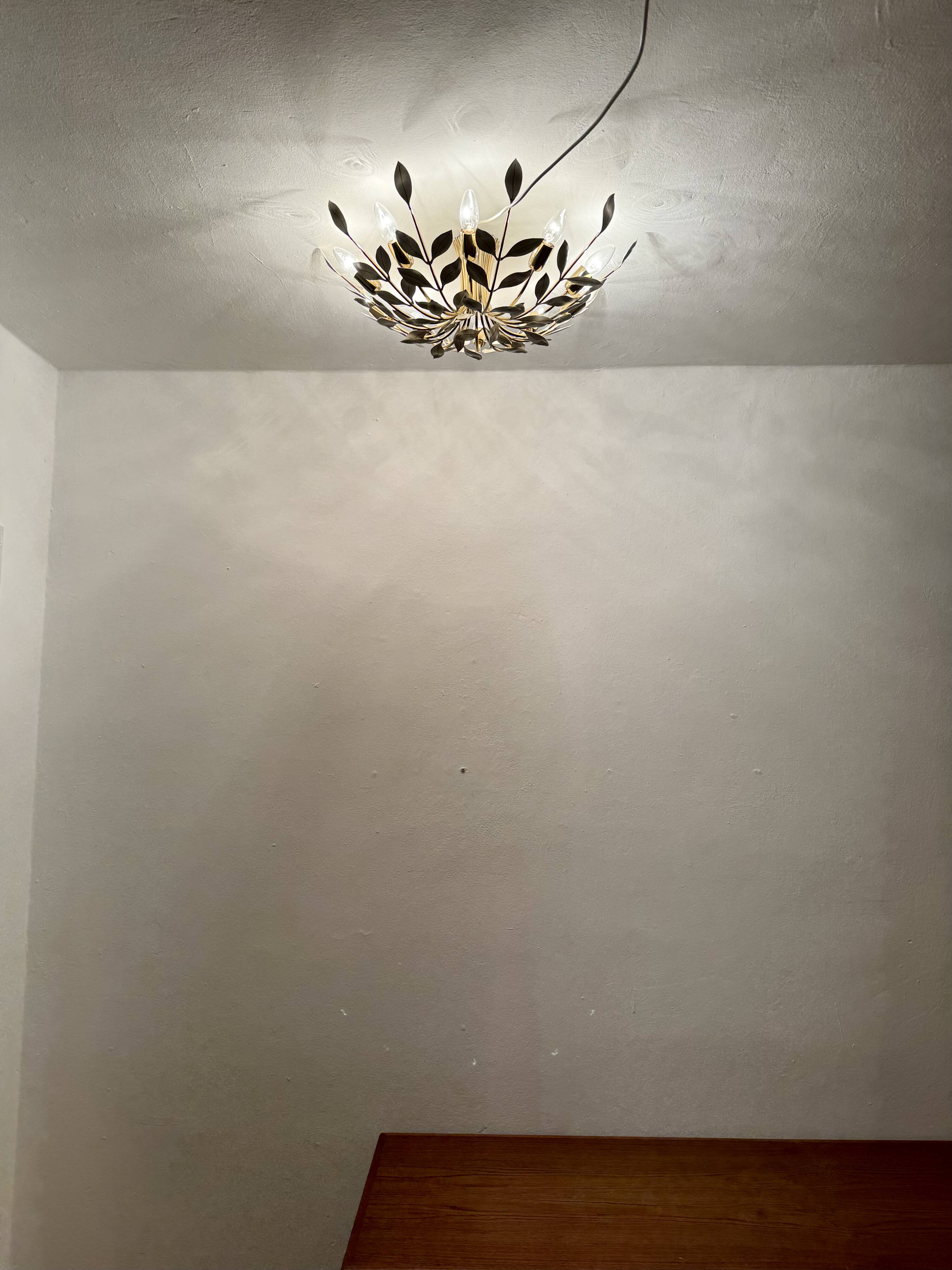 Flush Chandelier by Vereinigte Werkstätten München