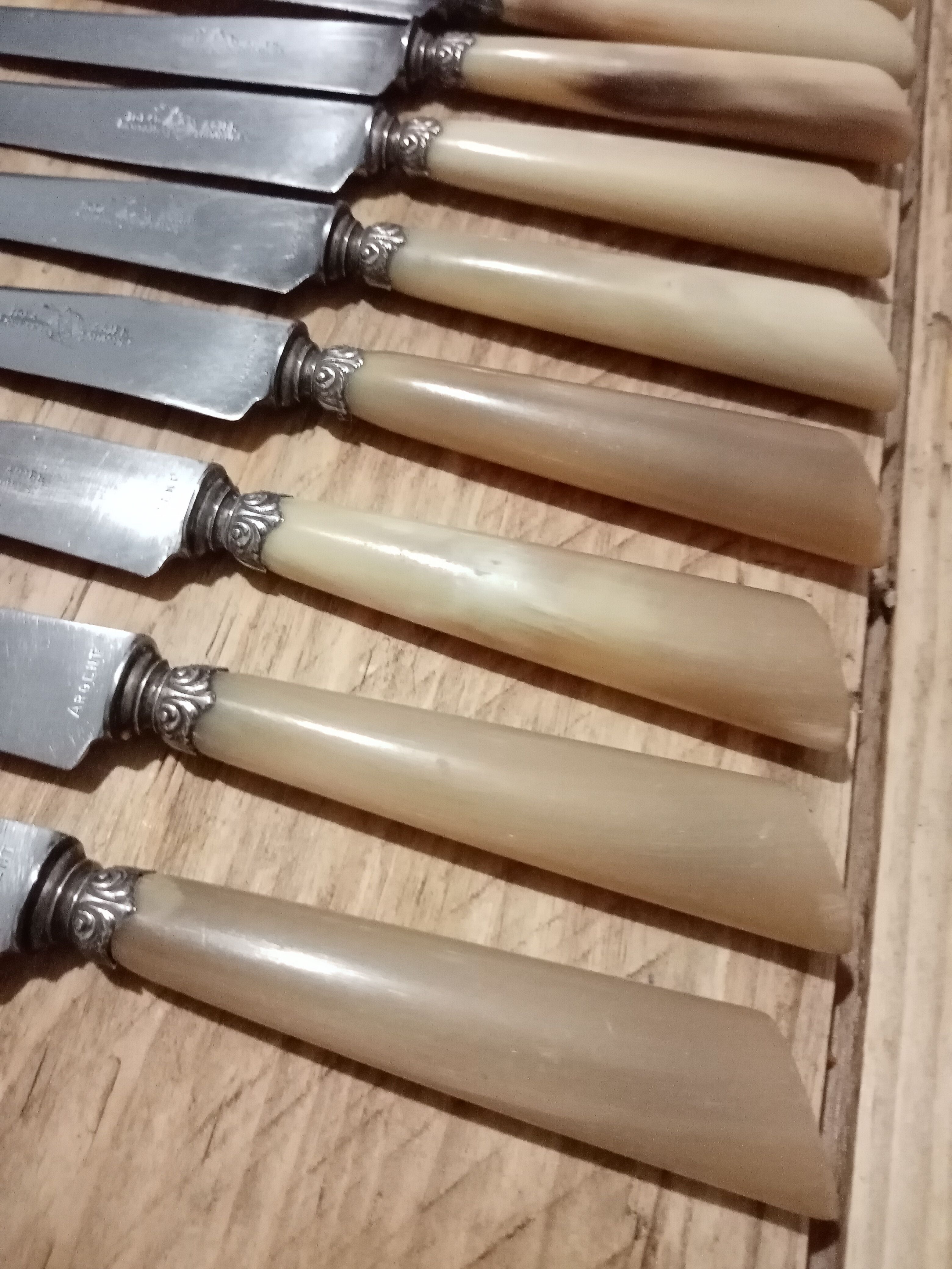Box 12 old cheese knife 19th blade steel virole silver handle horn