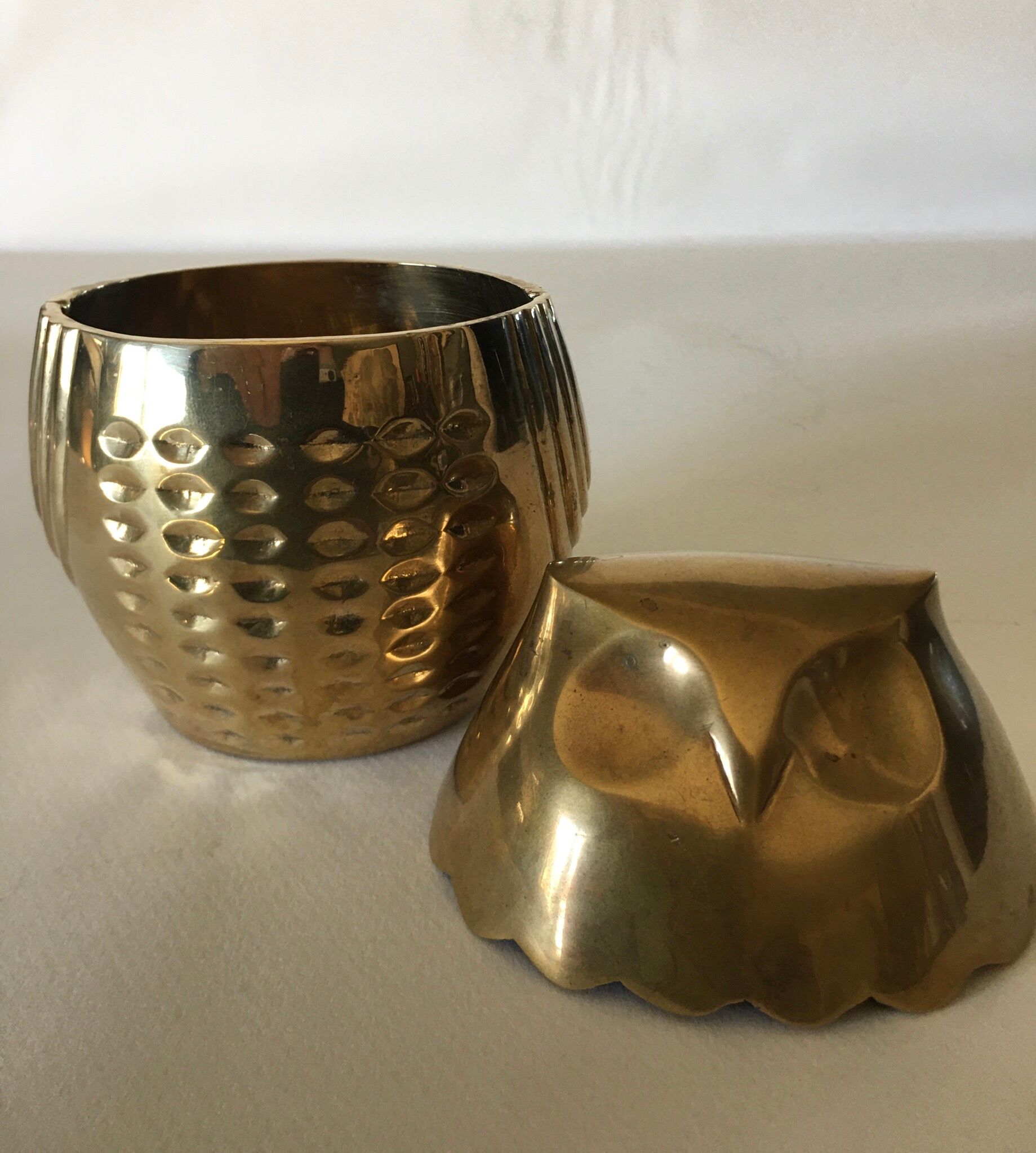 Empty box pockets owl