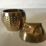 Empty box pockets owl