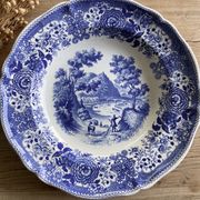 Duo of vintage Villeroy & Boch hollow plates "Burgenland"