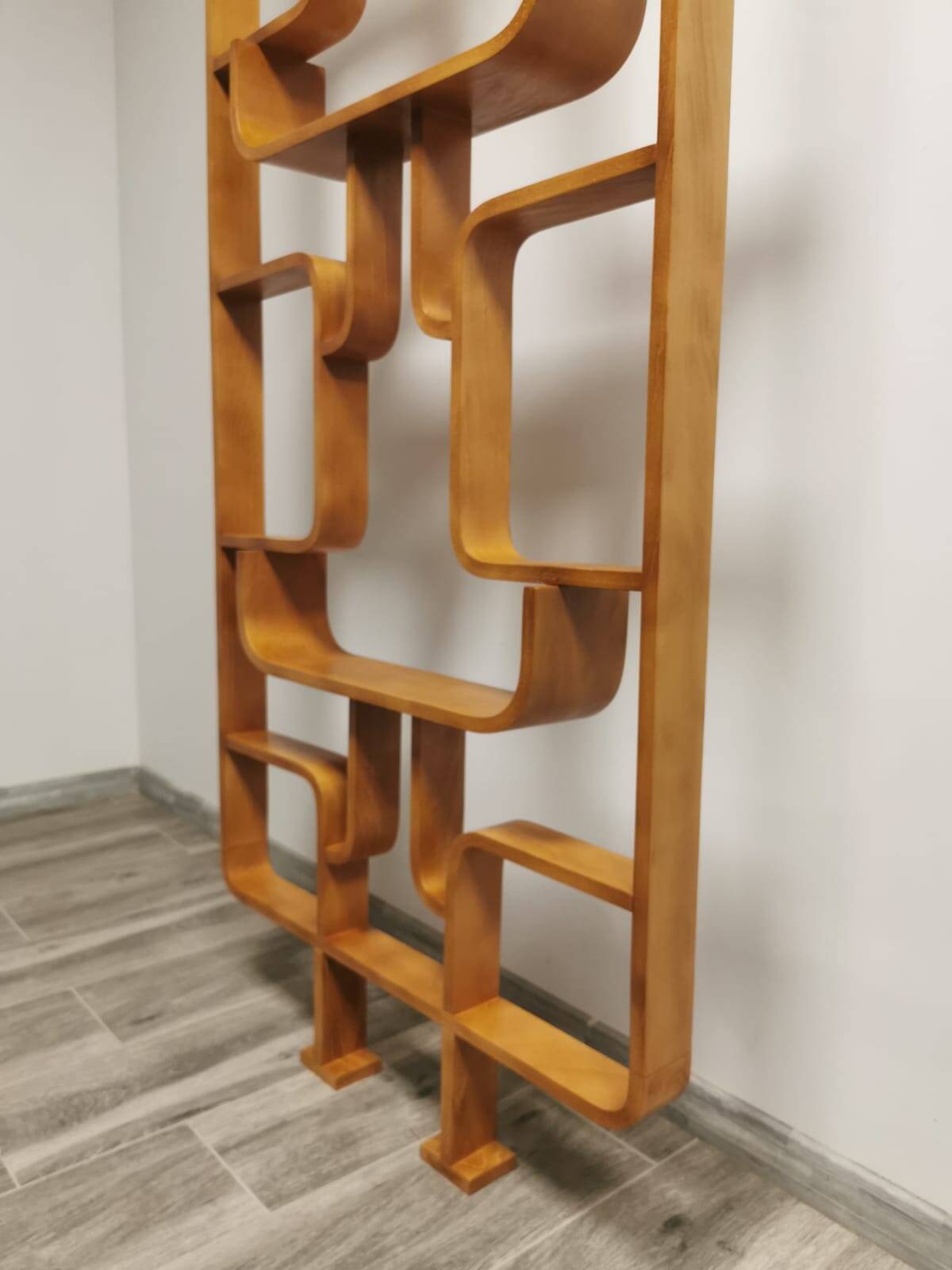 Room Dividers by Ludvik Volak for Drevopodnik Holesov, 1950s, Set of 2