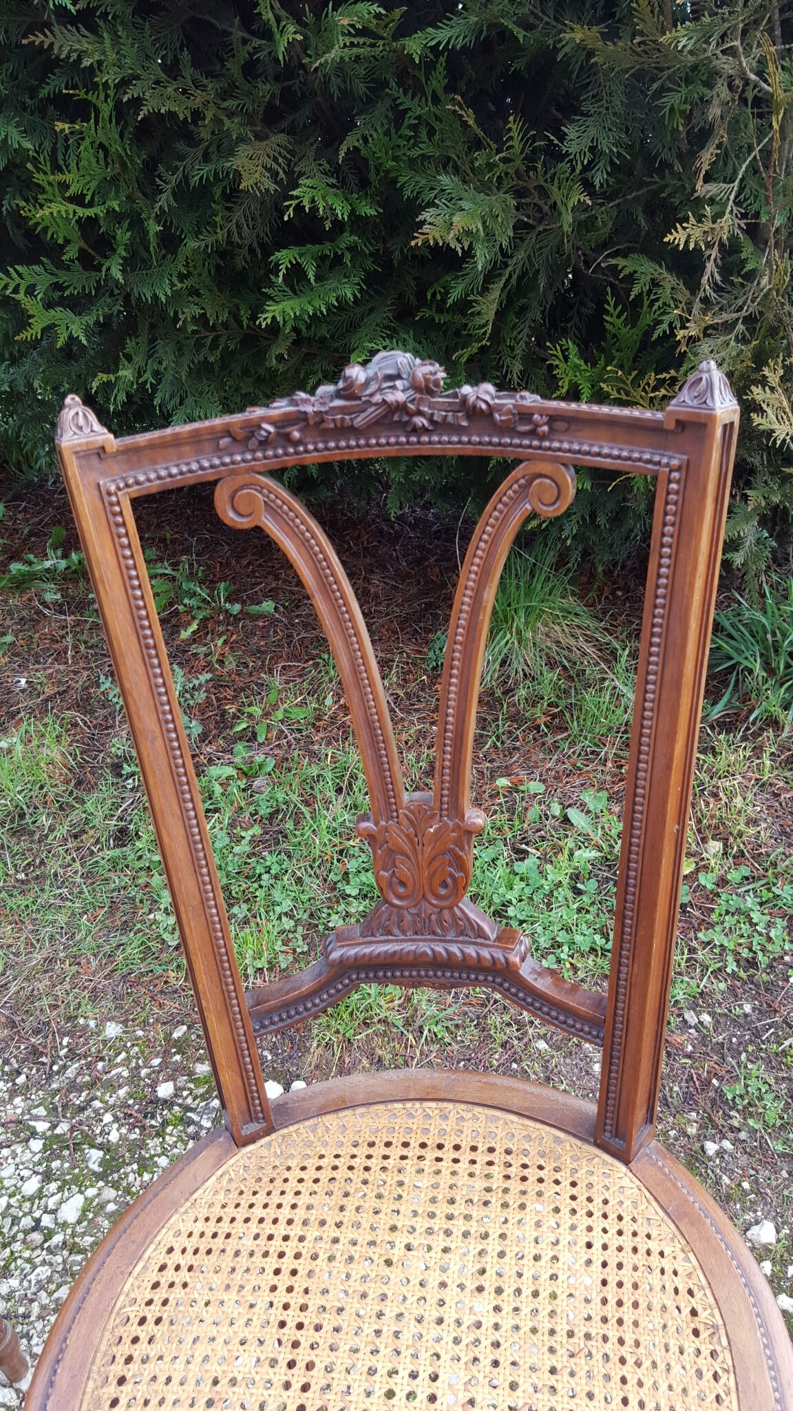 Pair of Louis XVI style walnut chairs
