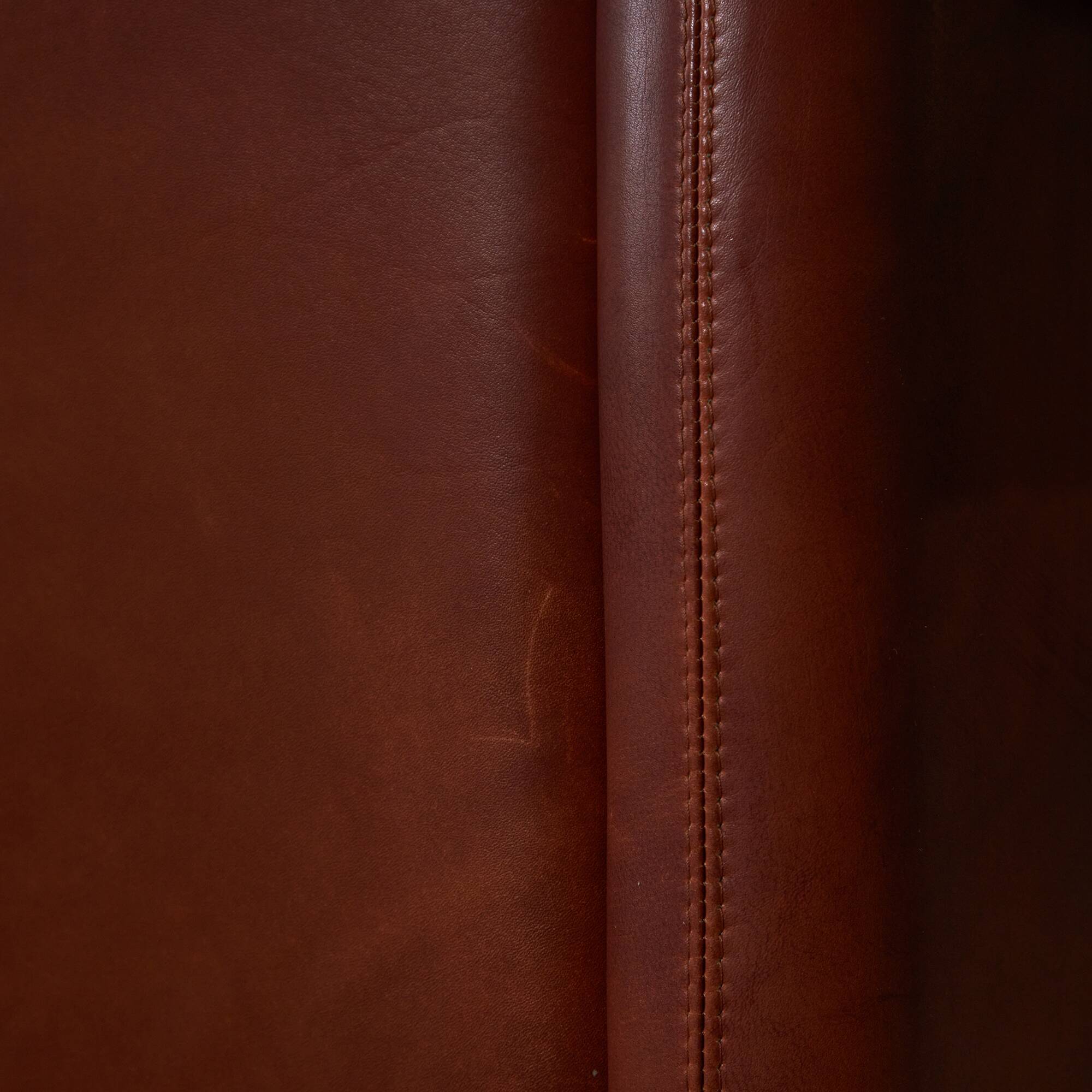 Coronado Armchair by Afra and Tobia Scarpa for B&B Italia, 1960s