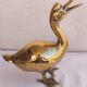 Canard en laiton