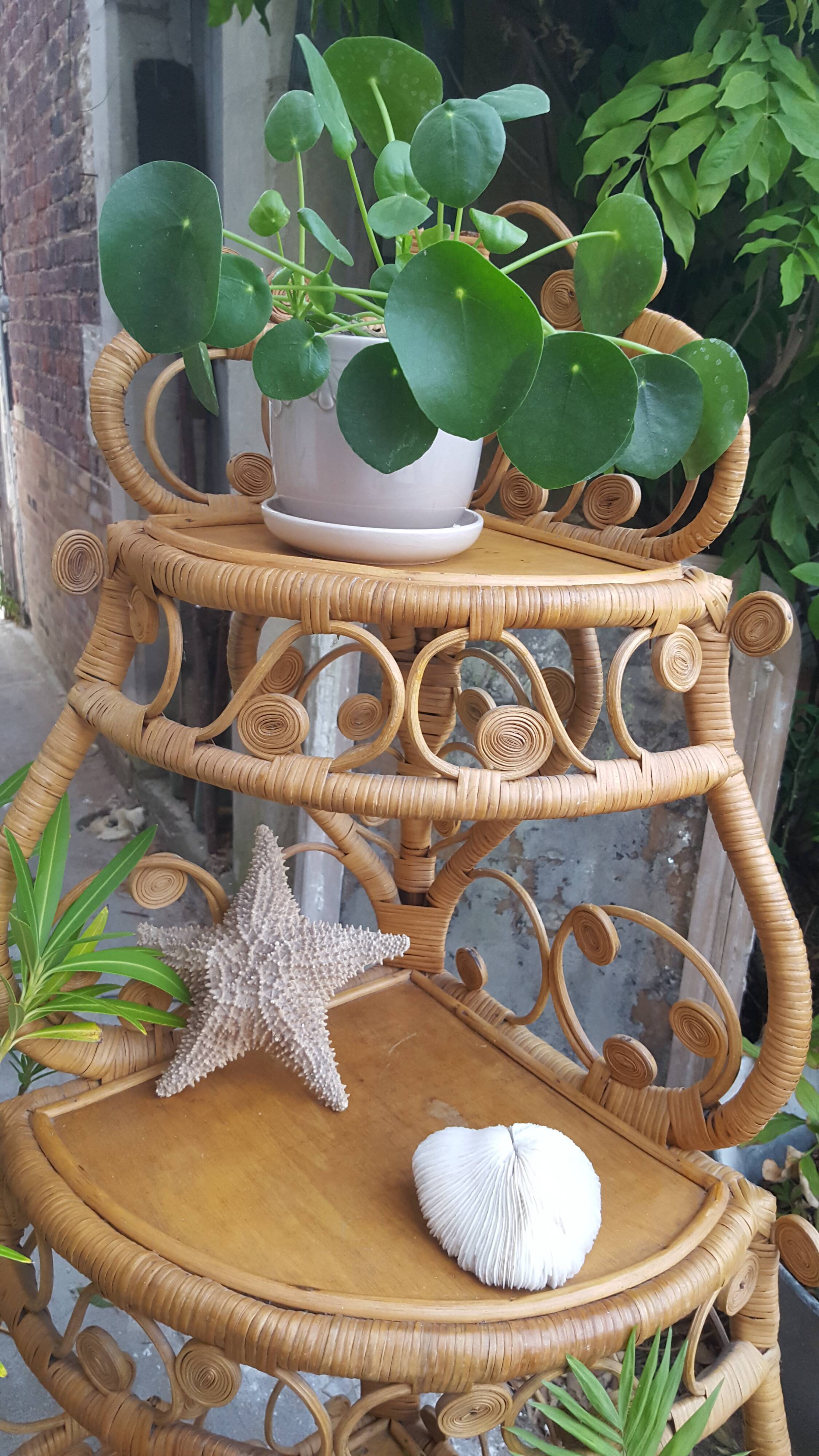 Vintage rattan notch shelf