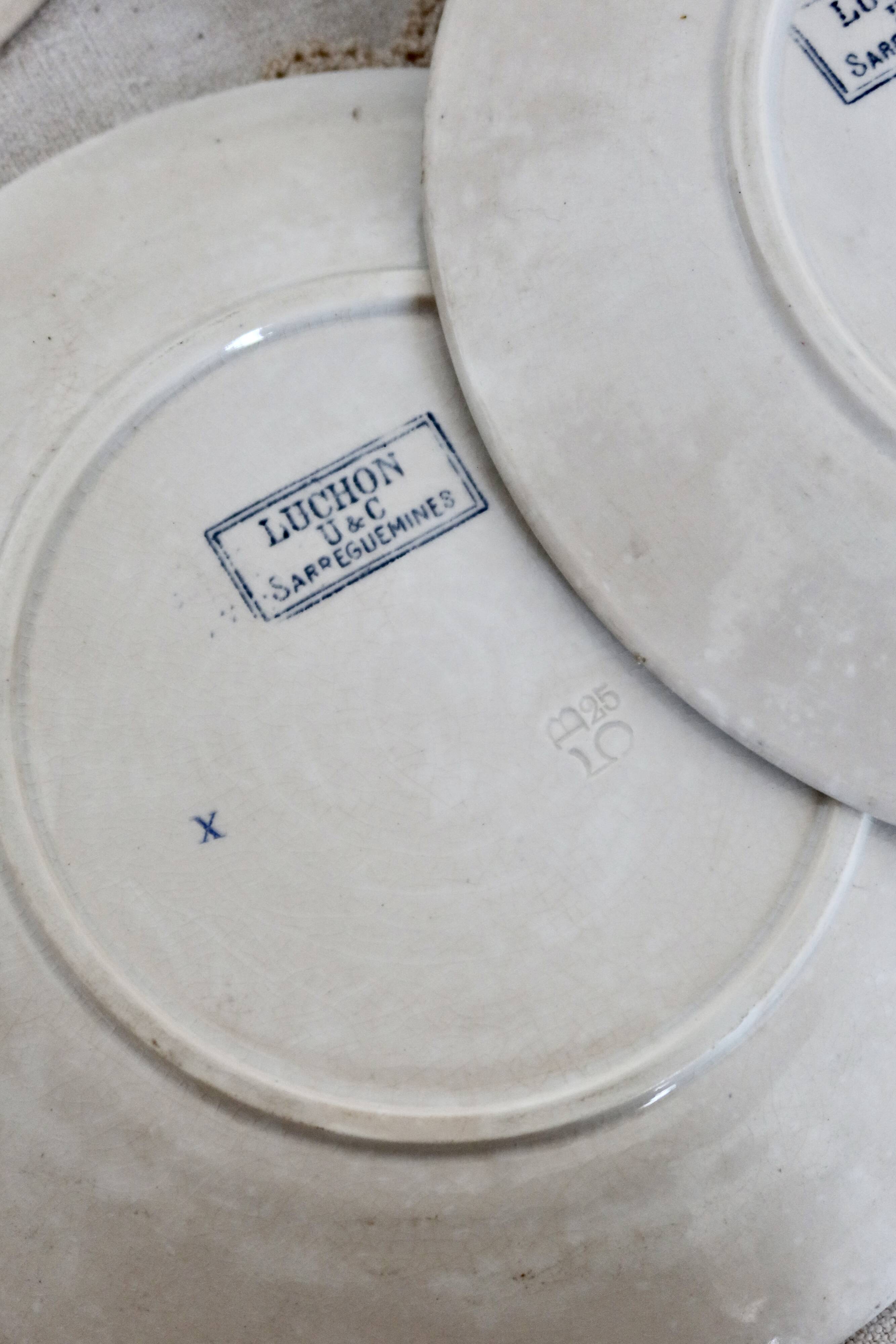 6 assiettes à dessert en terre de fer Sarreguemines modèle Luchon