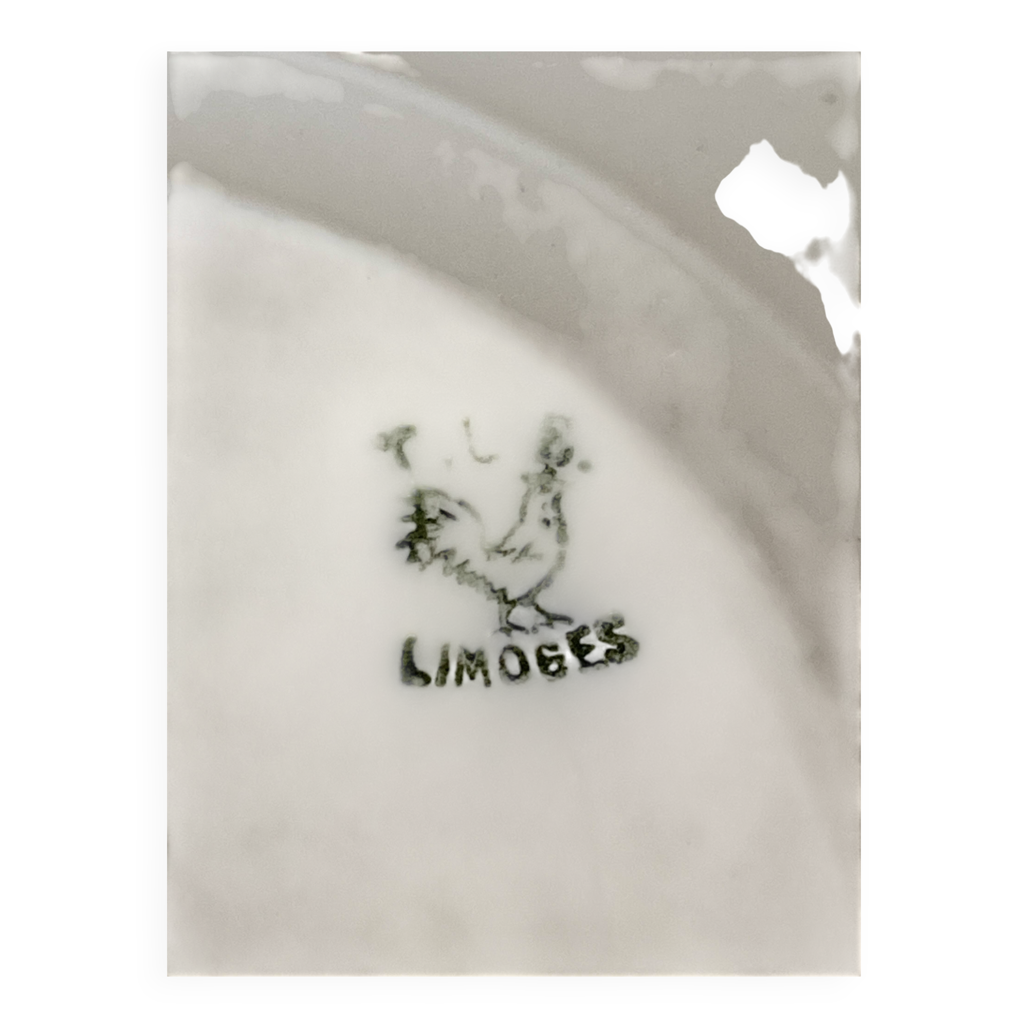 Oval vintage plate in white Limoges porcelain signed T.L.B flowers.