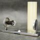 1930s Bauhaus Chrome Wall Light with Cream Opaline Glass, Czechoslovakia