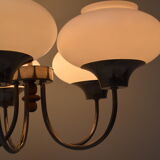 Mid Century Chandelier, 1960´s