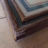 Framed antique lithograph by Pierre-Joseph Redouté