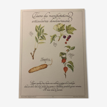 Precious botanical tea board
