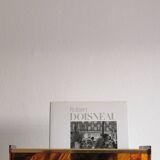 Tortoiseshell and brass lucite magazine rack