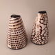 salt salt shaker sea shell real vintage nature curiosity