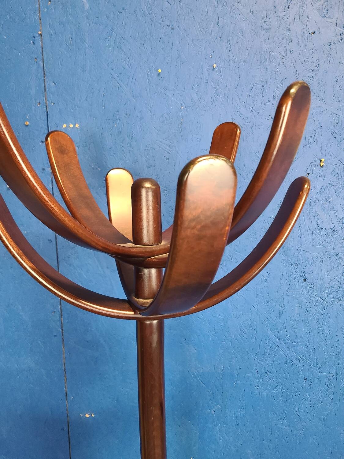 Cactus coat rack Mauro Pasquinelli 1972