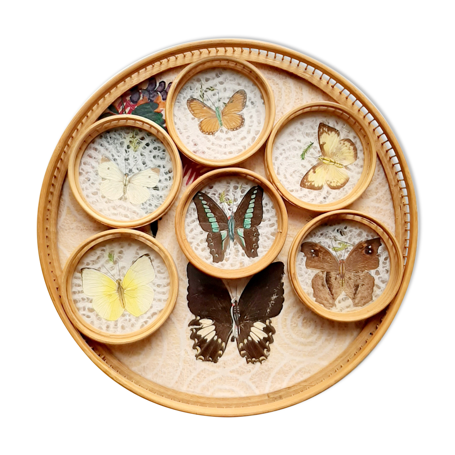 Butterfly tray and 6 coasters