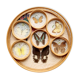 Butterfly tray and 6 coasters
