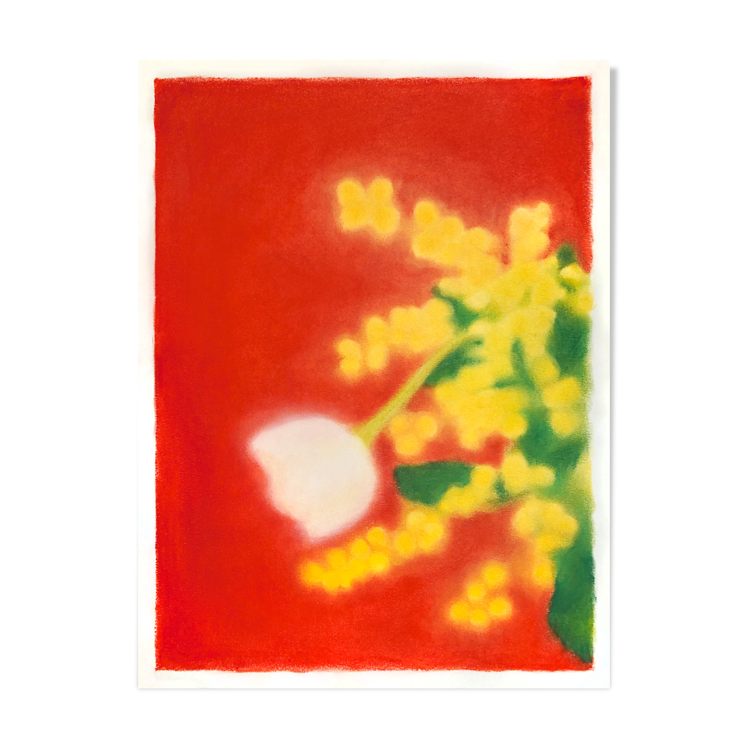 Still life "Mimosa" - Original drawing