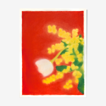 Nature morte "Mimosa" dessin original
