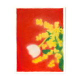 Still life "Mimosa" - Original drawing