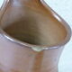 Sandstone pitcher
