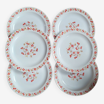 Set 6 flat plates Red and orange flowers