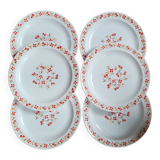 Set 6 flat plates Red and orange flowers