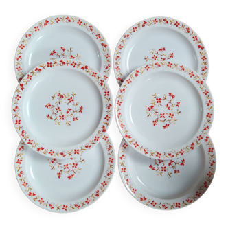 Set 6 flat plates Red and orange flowers