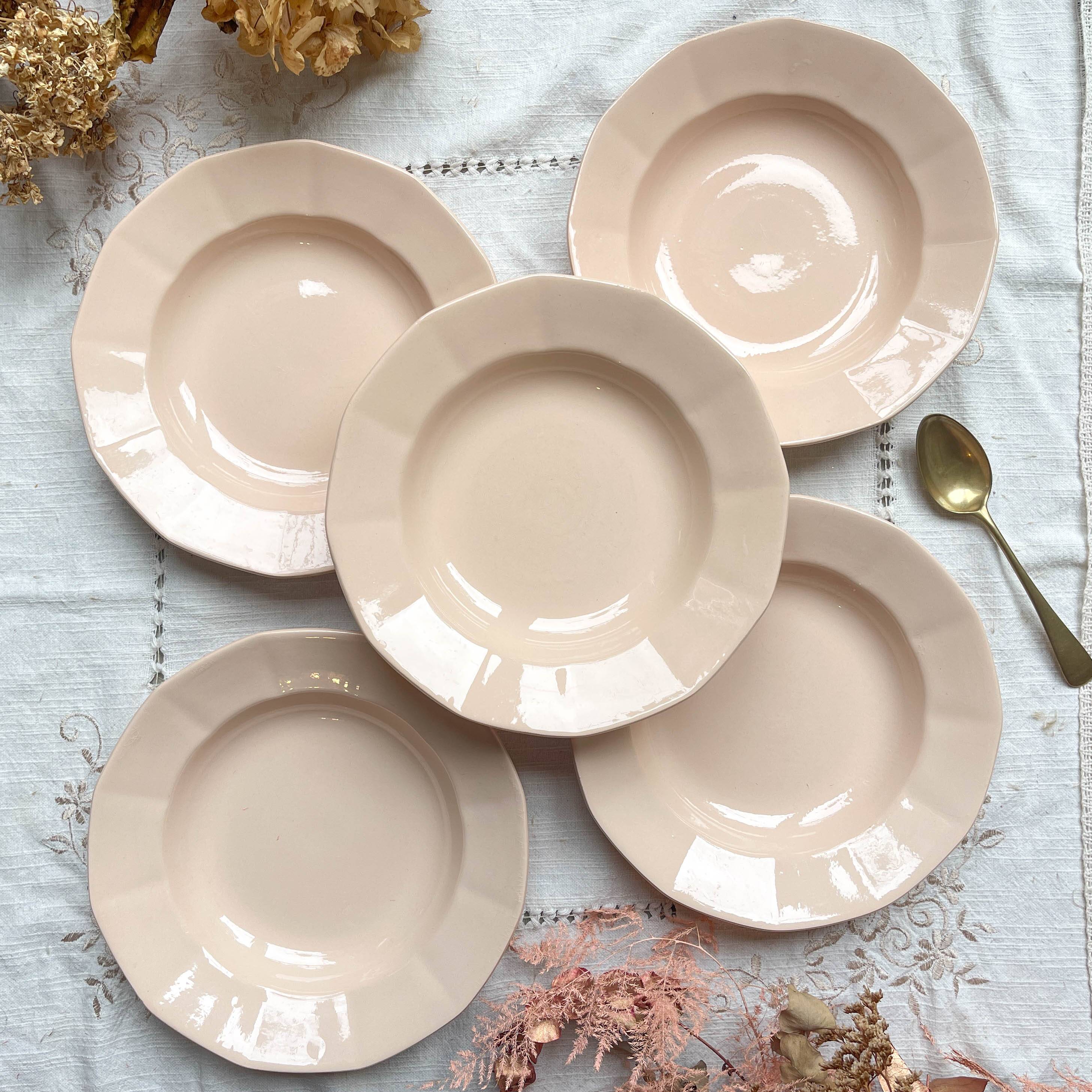 5 Vintage Rose Porcelain Soup Plates Digoin Sarreguemines