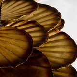 Pair of Maison Jansen brass floor lamps with reeds and water lilies, 1970s