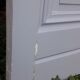 Porte 225,5x80 haussmannienne