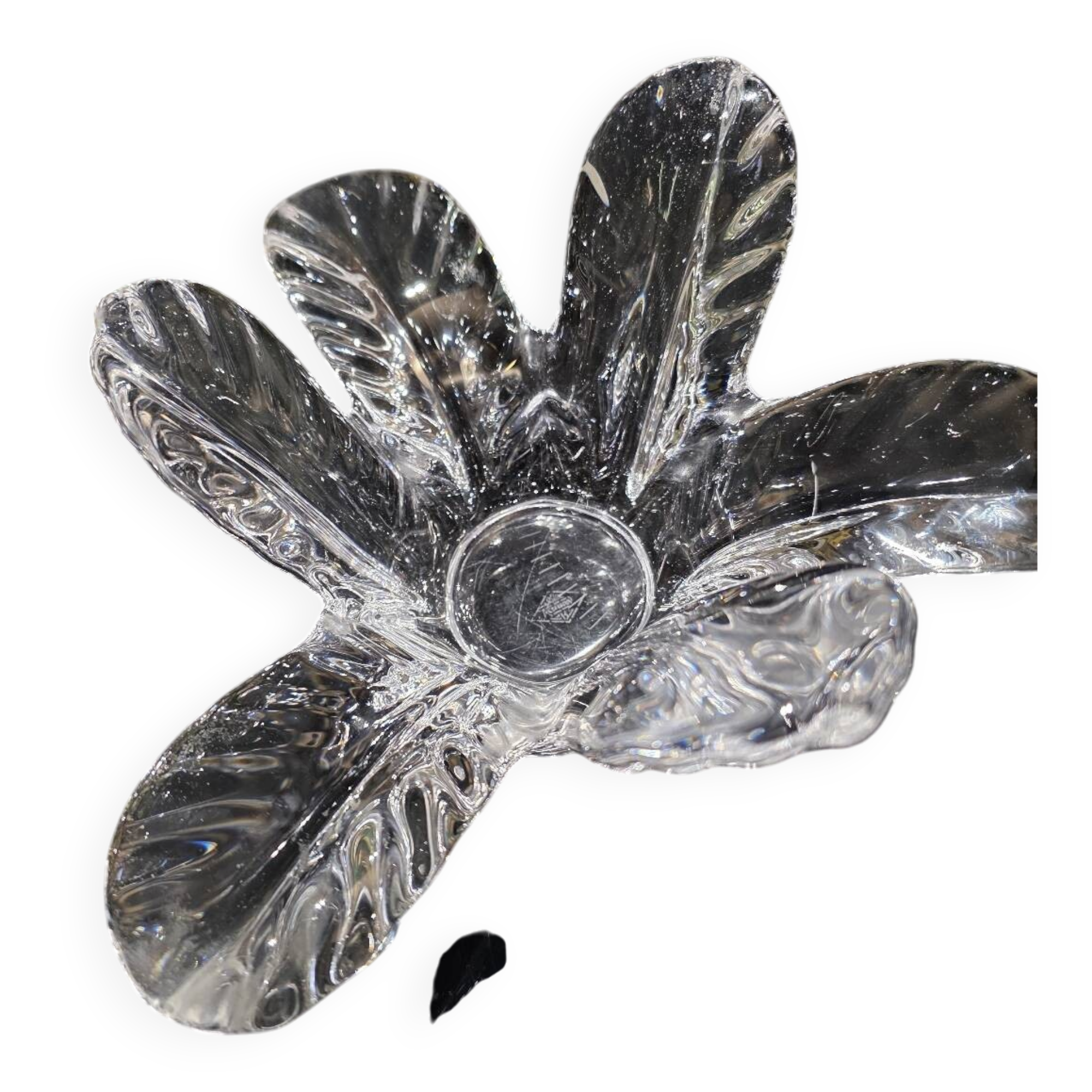 Crystal vide poche floral art from Vannes