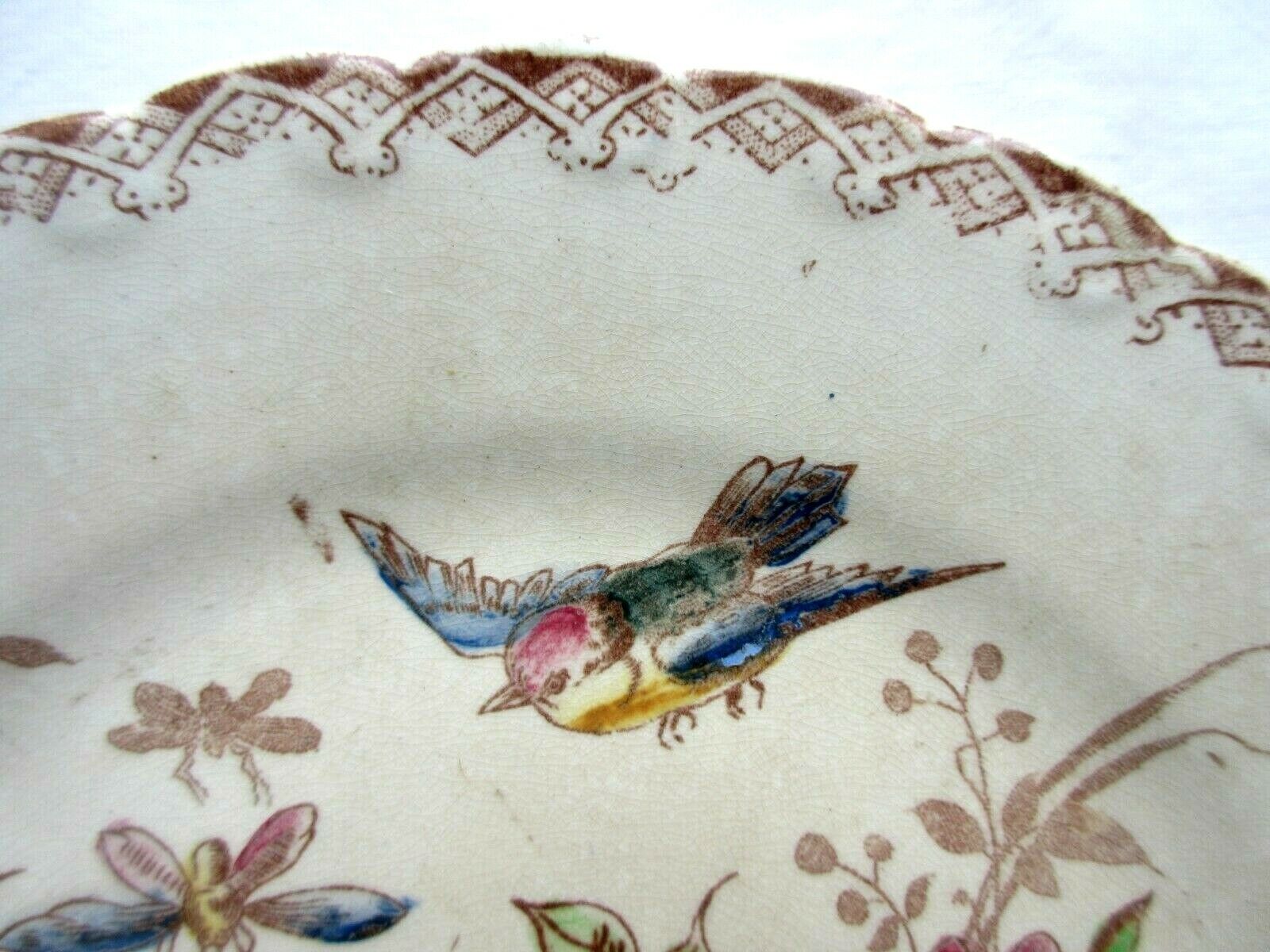 Polychrome dessert plate signed onnaing, birds, butterflies and flowers