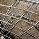 Chrome-plated side chairs by Harry Bertoia for Knoll, 1970s, set of 4