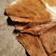 Vintage cowhide rug 1970
