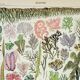 Antique engraving 1898, Algae, marine plant, flora • Lithograph, original illustration