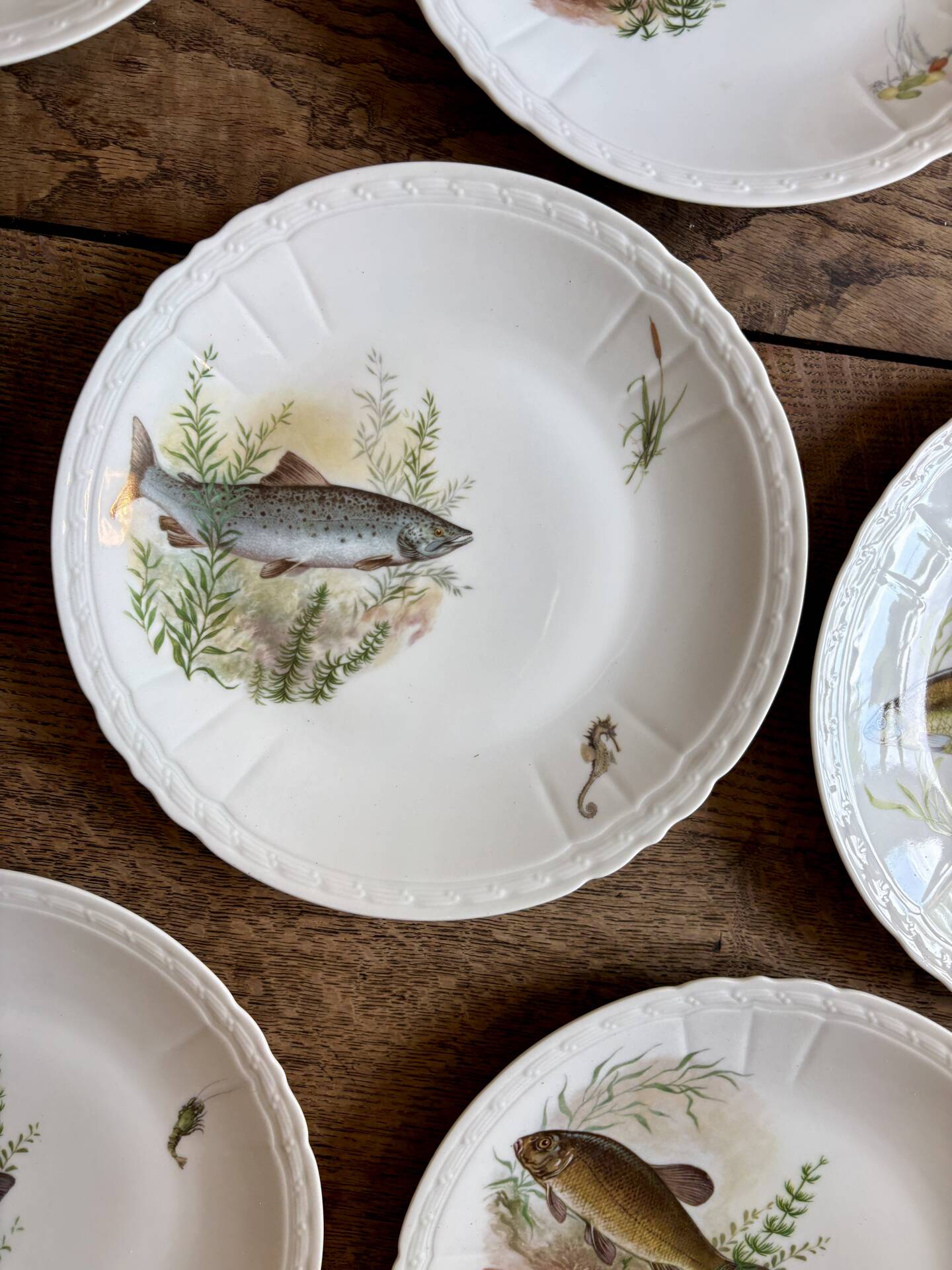 Set of 10 antique flat plates in porcelain, decorated with fish.