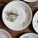 Set of 10 antique flat plates in porcelain, decorated with fish.