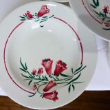 5 hollow plates of St Amand model Peg