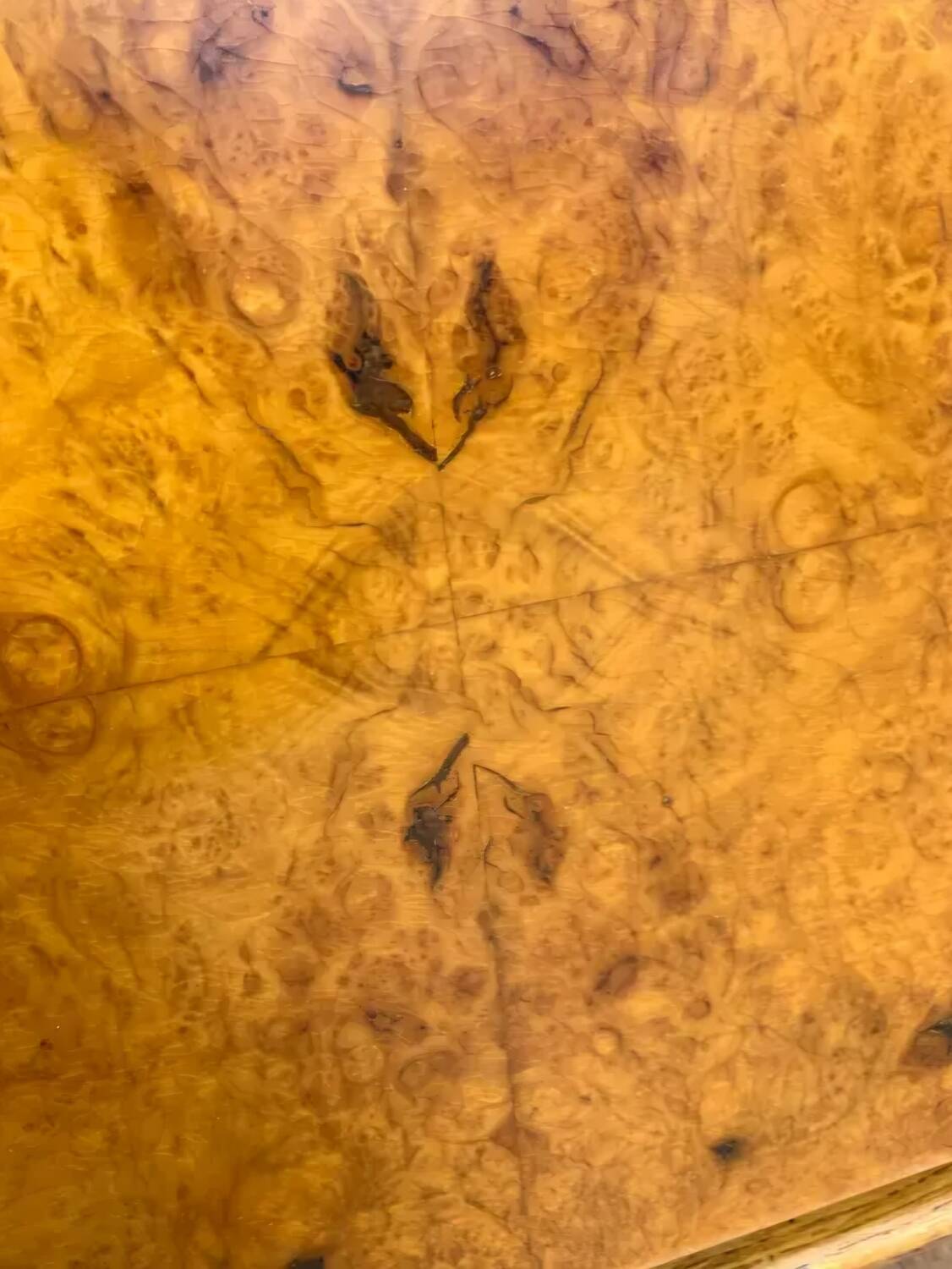 Vintage Czech Burr Walnut Bar Cabinet 1950s