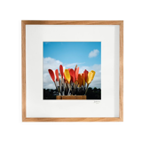 Bouquet of paddles