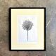 Drawing, work on paper by Claude Verdier framed, 1971