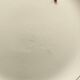 Lot de 3 plats de service Digoin Sarreguemines faïence ancienne couleur beige et dorure ACC-7259