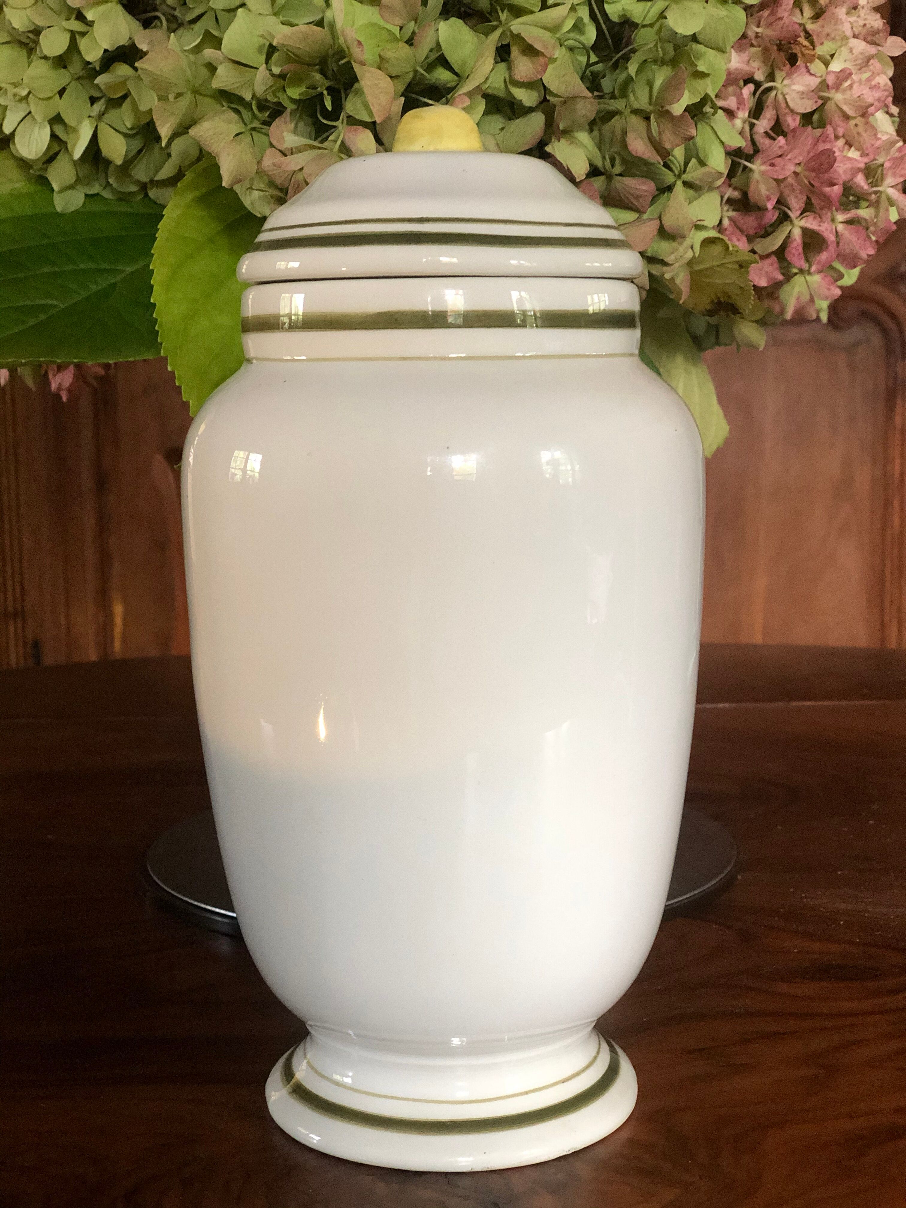 VNG Pharmacy Pot. POPUL