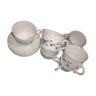 Cups and cups arcopal