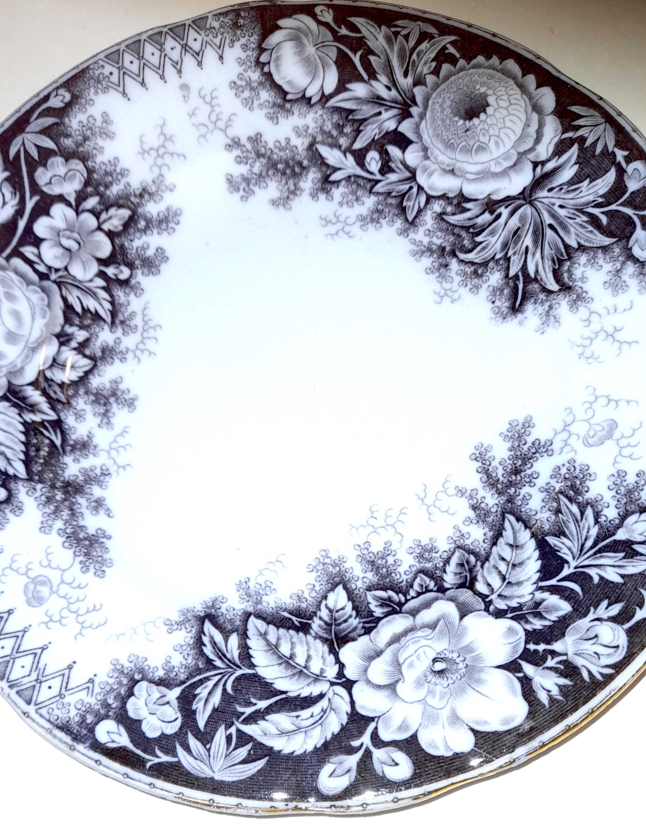 Set of 3 dessert plates Jardinière de Sarreguemines U&C 1900